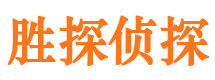 红旗市侦探公司